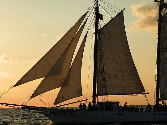 Setting Sail by Nanci Fielder