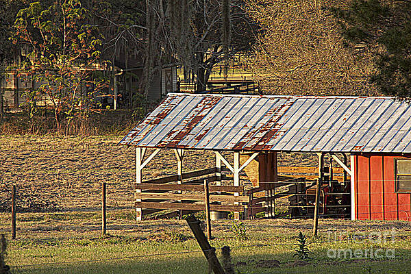 Shack with a View by Conni Walker