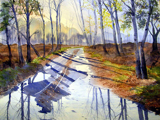 Wall Art - Painting - Shadows and Reflections on Skipwith Common by Glenn Marshall