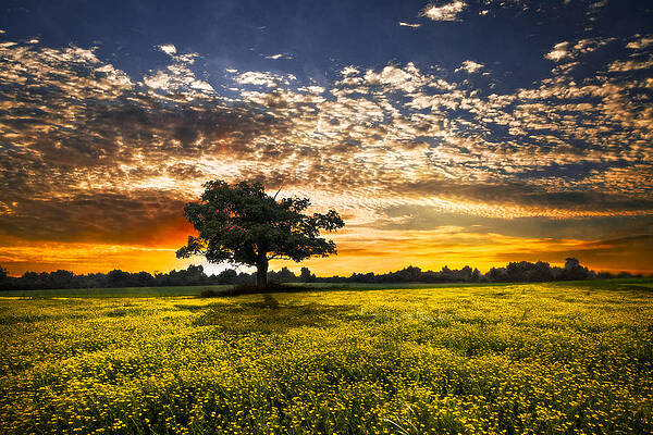 Wall Art - Photograph - Shadows At Sunset by Debra and Dave Vanderlaan