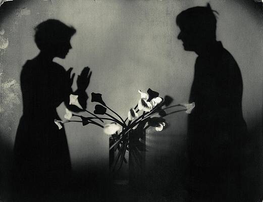 Wall Art - Photograph - Shadows By Flowers In A Page Of Actorplasms by Edward Steichen