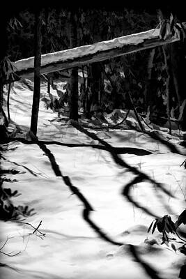 Wall Art - Painting - Shadows Point the Way by John Haldane