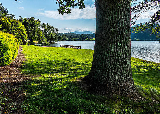 Shady Afternoon by Ed Kelley Shady Afternoon by Ed Kelley