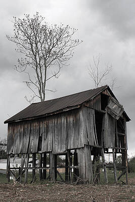 Shanty in B n W by JB Stran Shanty in B n W by JB Stran