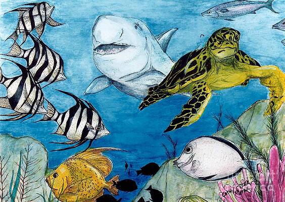 Sea Turtle Paintings (Page #9 of 35) | Fine Art America