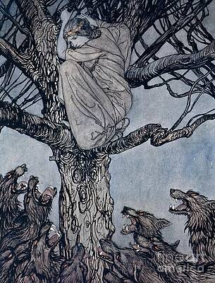 Wall Art - Drawing - She looked with angry woe at the straining and snarling horde below illustration from Irish Fairy  by Arthur Rackham