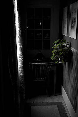 Shed Some Light by Dave Onomastico