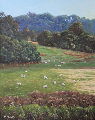 Wall Art - Painting - Sheep in a field in the Devon countryside by Martin Davey