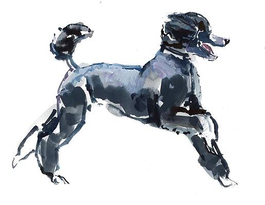 Wall Art - Painting - Sheer Class by Mark Adlington