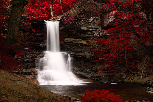 Sheldon Reynolds Waterfalls by David Simons