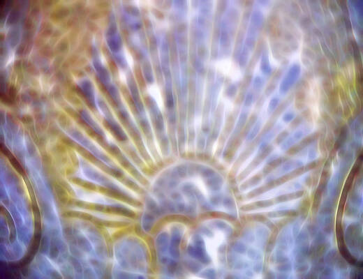 Wall Art - Digital Art - Shell Design A glow by Cathy Anderson