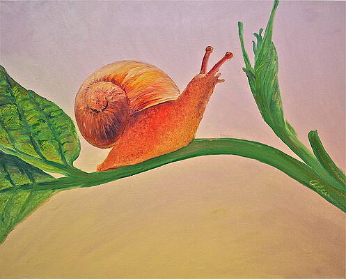 Shelly the Snail by Alan Schwartz Shelly the Snail by Alan Schwartz