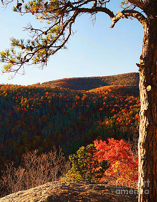 Wall Art - Photograph - Shenandoah In The Fall by M Three Photos