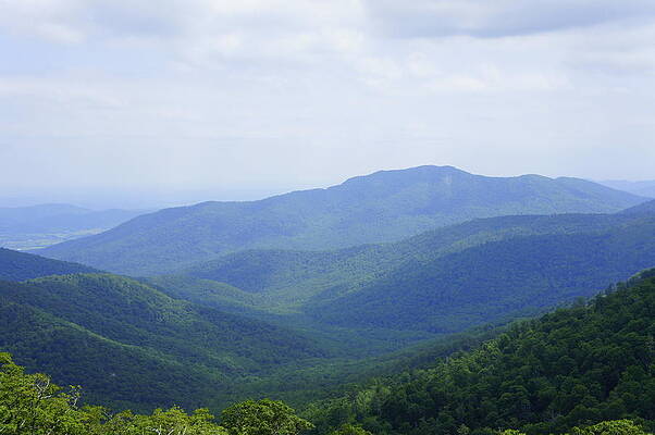 Shenandoah View by Laurie Perry Shenandoah View by Laurie Perry