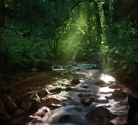 Shining Through by Eva Kondzialkiewicz Shining Through by Eva Kondzialkiewicz