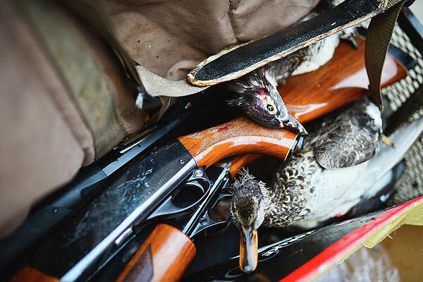 Wall Art - Photograph - Shotguns And Dead Ducks by Blake Burton
