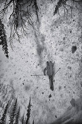 Showered in Snow by Dave Heath