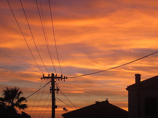 Silhouette Sunset by Steven Hart