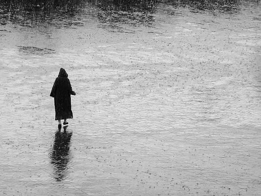Wall Art - Photograph - Singing in the rain  by A Rey