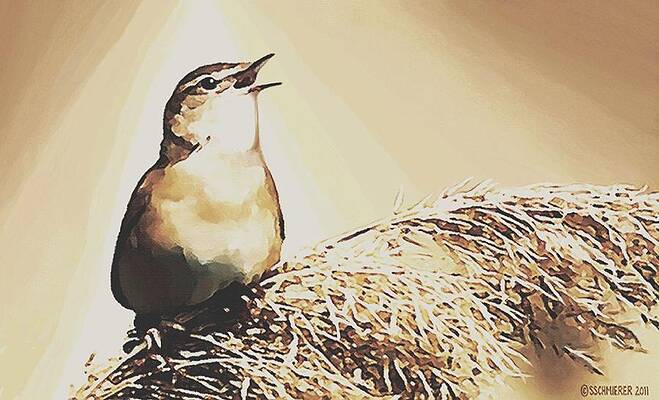 Singing My Heart Out by SophiaArt Gallery Singing My Heart Out by SophiaArt Gallery