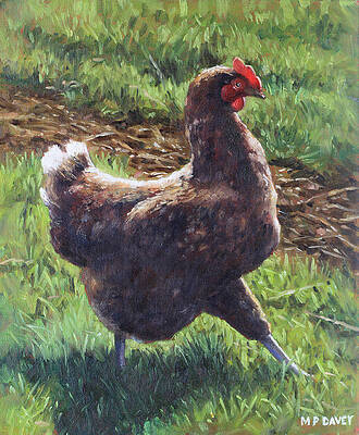 Wall Art - Painting - Single chicken walking around on grass by Martin Davey