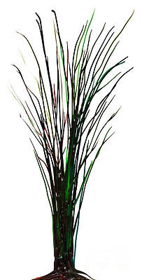 Wall Art - Photograph - Single winter tree painting isolated by Simon Bratt