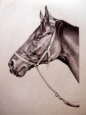 Sir Alfred 2 by Patricia Howitt Sir Alfred 2 by Patricia Howitt