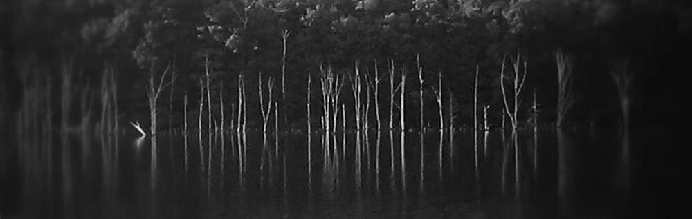 Sirens hiding by Steven Huszar Sirens hiding by Steven Huszar
