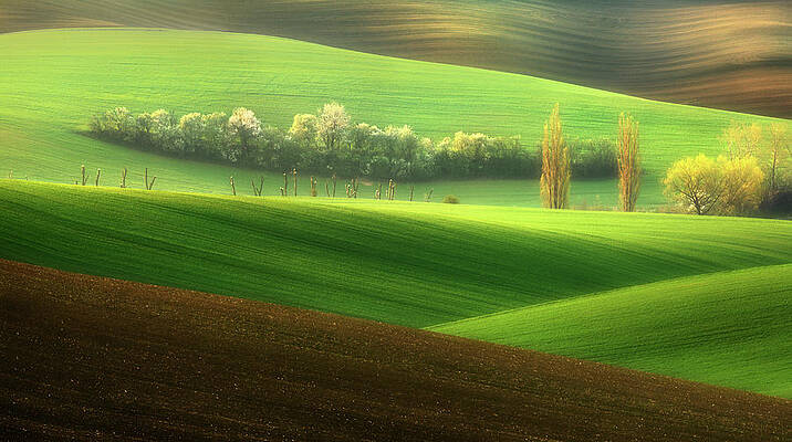 Wall Art - Photograph - Sisters... by Krzysztof Browko