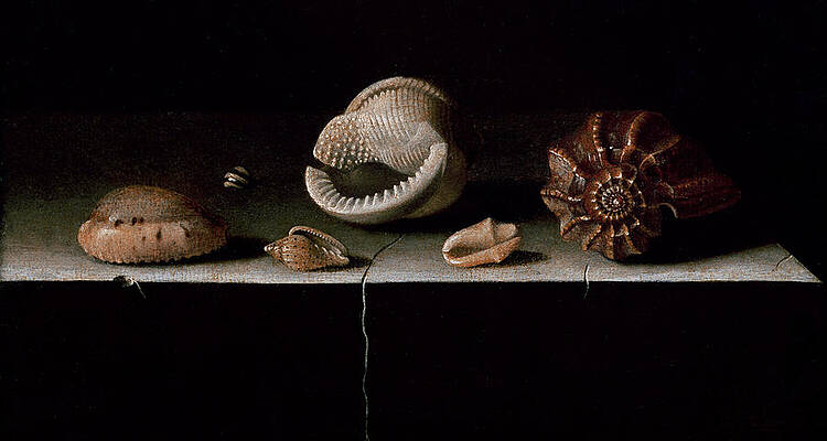 Wall Art - Painting - Six Shells on a Stone Shelf by Adrian Coorte
