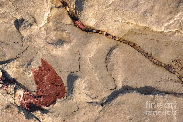Wall Art - Photograph - Sketch In Time by Jim Simak