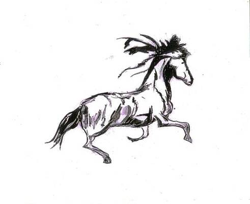 Sketch10 by Shree Kumar