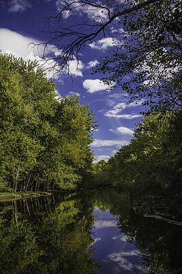 Sky Mirror by Jeremy Perlman