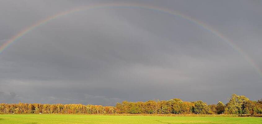 Sky-song by Steve Rhoades