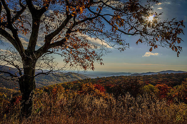 Skyline Drive by Pat Scanlon Skyline Drive by Pat Scanlon