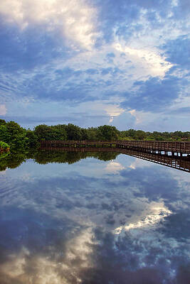 Wall Art - Photograph - Sky's the Limit by Leda Robertson