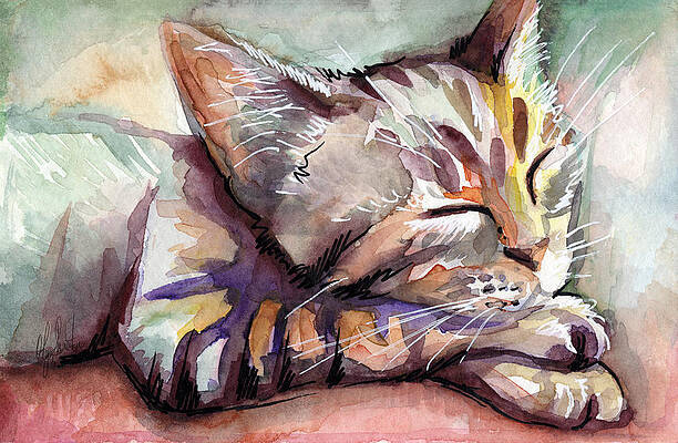 Wall Art - Painting - Sleeping Kitten by Olga Shvartsur