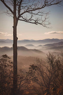 Slice of the Smokies by Maria Robinson Slice of the Smokies by Maria Robinson