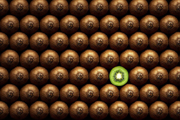 Wall Art - Photograph - Sliced kiwi between group by Johan Swanepoel