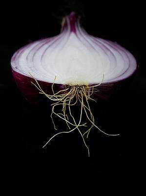 Wall Art - Photograph - Sliced Red Onion On A Black Background by Gregory Adams
