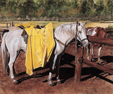 Slicker by JK Dooley Slicker by JK Dooley