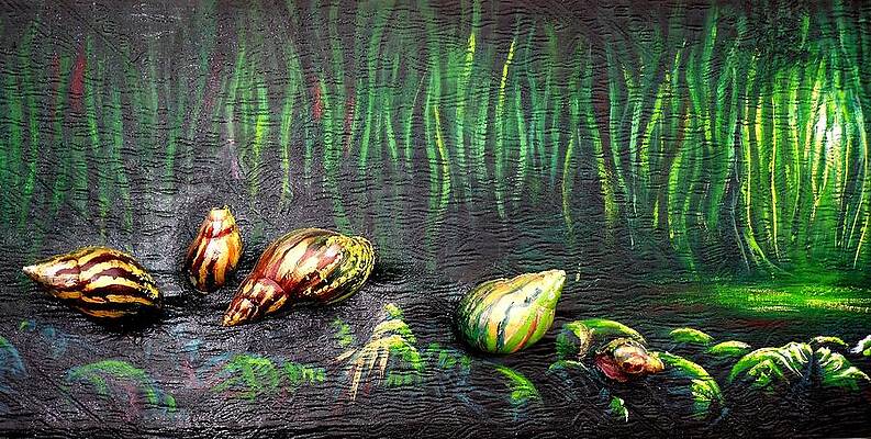 Snails in the forest  by Odei Nyamekye