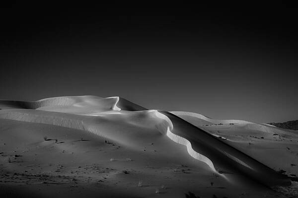 Snake Dune by Peter Tellone Snake Dune by Peter Tellone