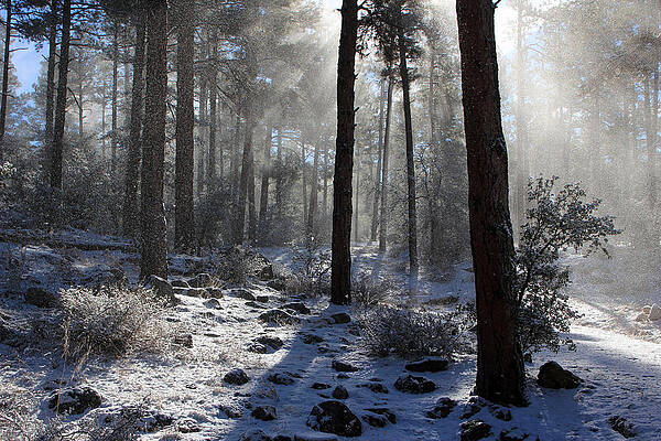 Snow Blowing by MH Ramona Swift