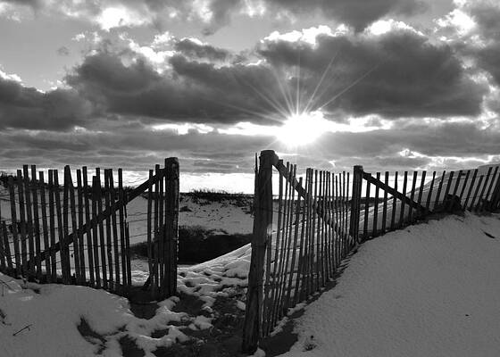 Snow Fence by Lisa Kane Snow Fence by Lisa Kane
