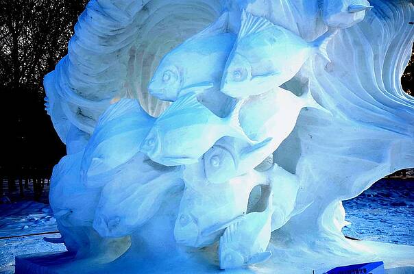 Snow Fishies by Brett Geyer Snow Fishies by Brett Geyer