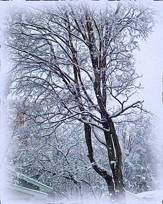 Snow-laden Tree by Dave Fuller