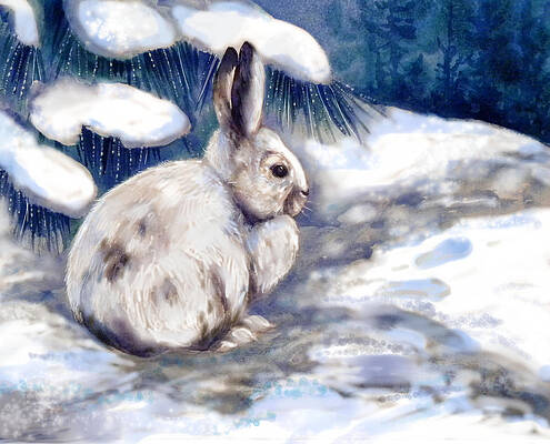 Snow Shoe Rabbit in Winter by Peggy Wilson Snow Shoe Rabbit in Winter by Peggy Wilson
