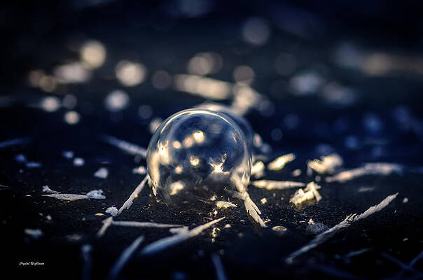 Wall Art featuring the photograph Snowflake Ball by Crystal Wightman