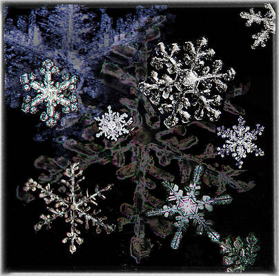 snowflake collage by Bobbie Turner snowflake collage by Bobbie Turner